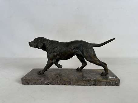 Chien en régule sur socle de marbre. L. 35 cm