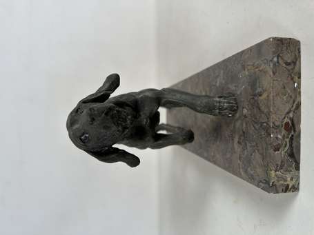 Chien en régule sur socle de marbre. L. 35 cm