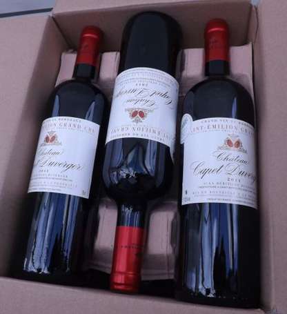 6 Bts Château Capet Duverger Saint-Emilion 2011