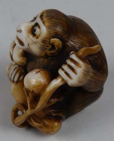 Netsuke Singe aux fruitsen ivoire Japon H 3,5 cm