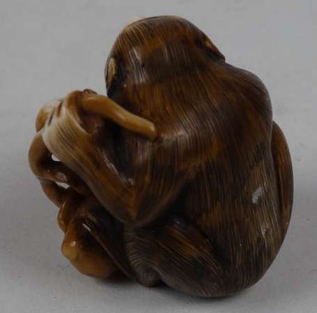 Netsuke Singe aux fruitsen ivoire Japon H 3,5 cm