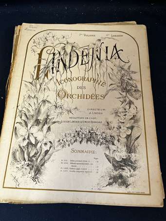 Fleurs et plantes - « LINDENIA , iconographie des 